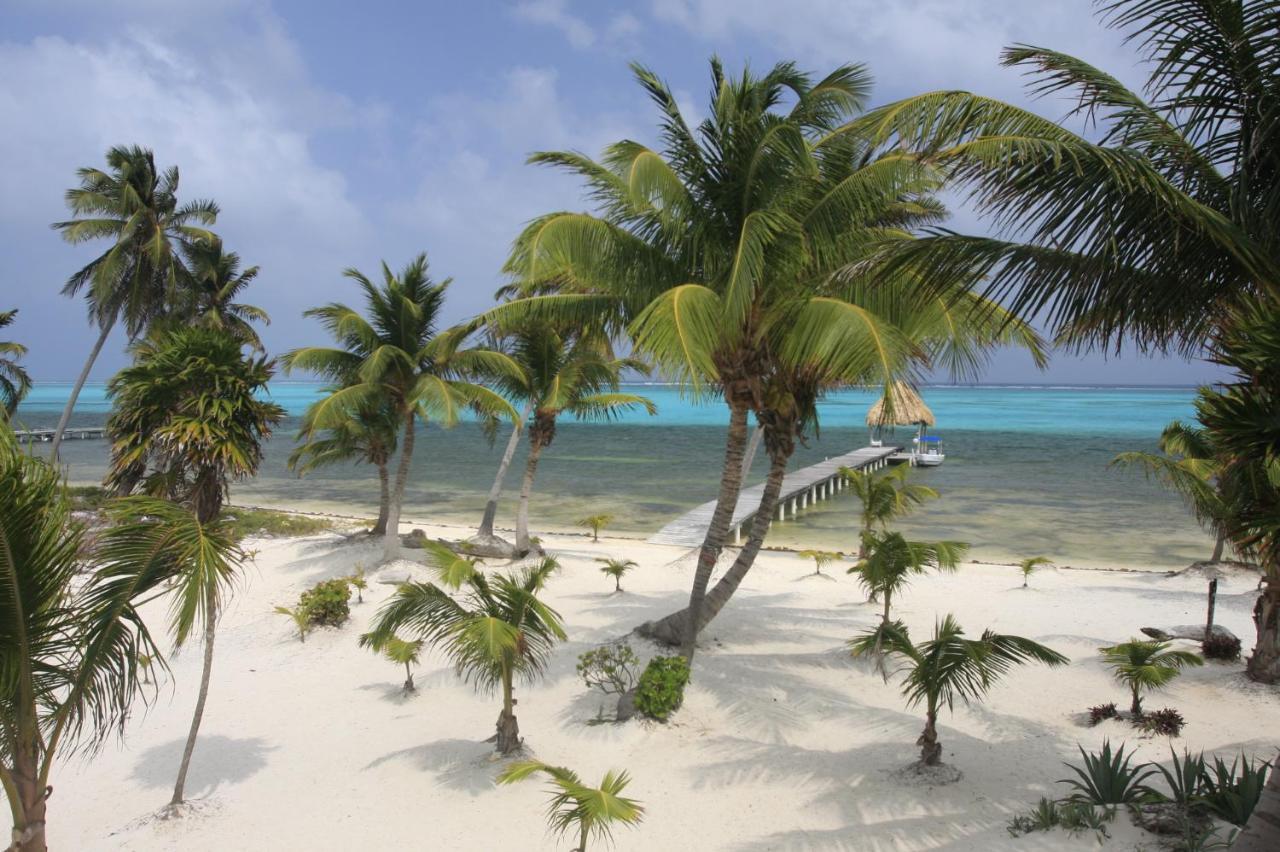 Diamond Reef Condominium's San Pedro (Ambergris Caye)