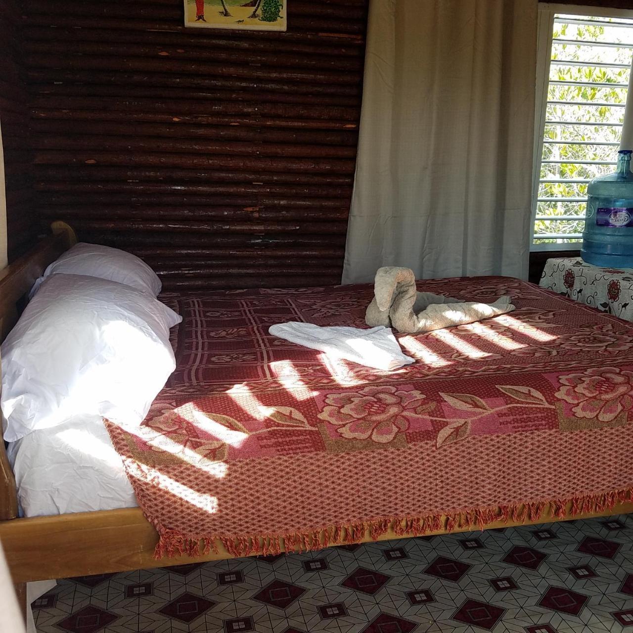 Palmento Grove Garifuna Eco-cultural & Healing Institute Bed & Breakfast Hopkins
