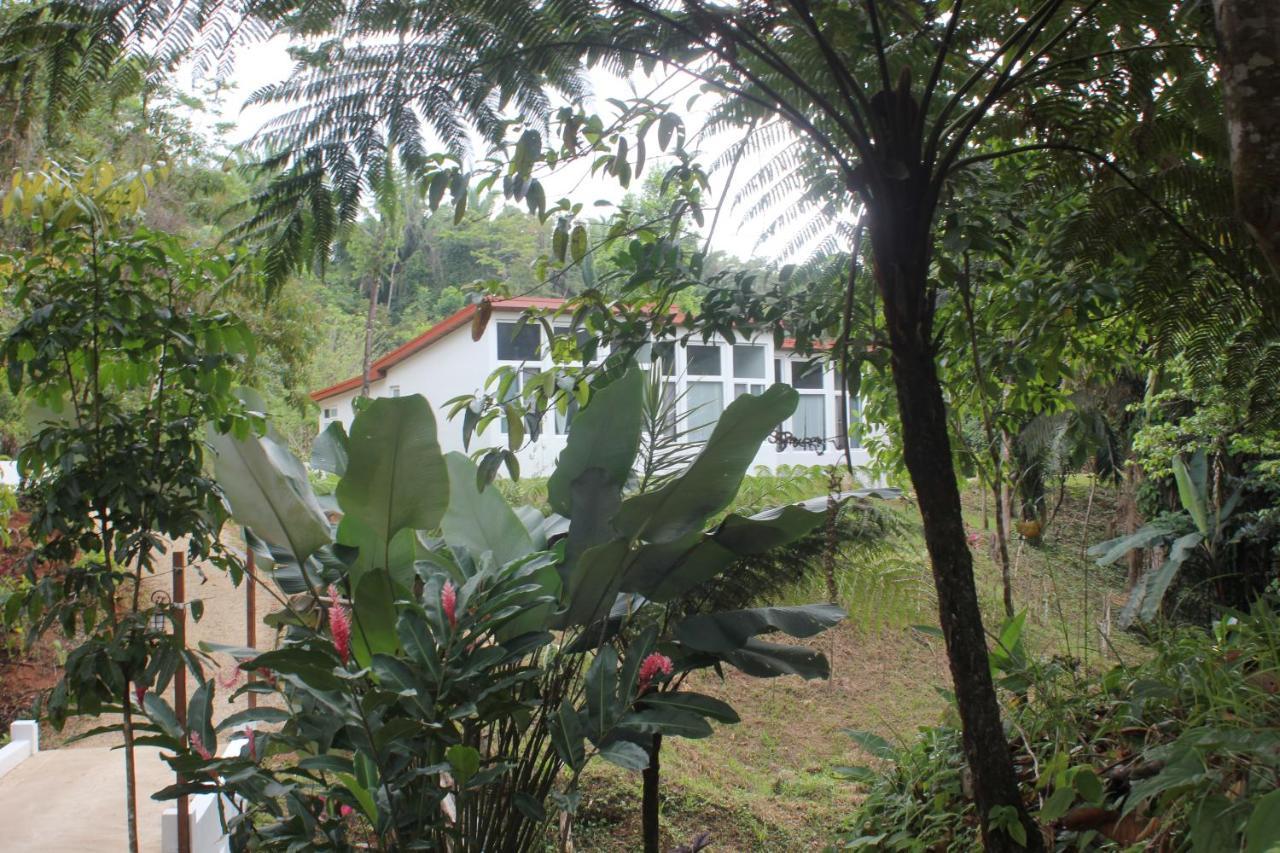 Sattva Land Resort 3*