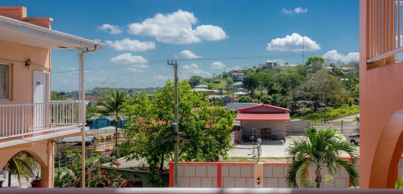 Rolson 3* San Ignacio