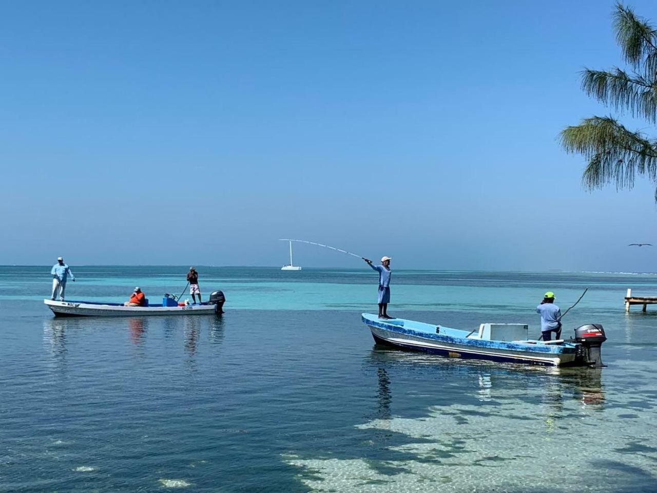 Resort Blue Marlin Dangriga