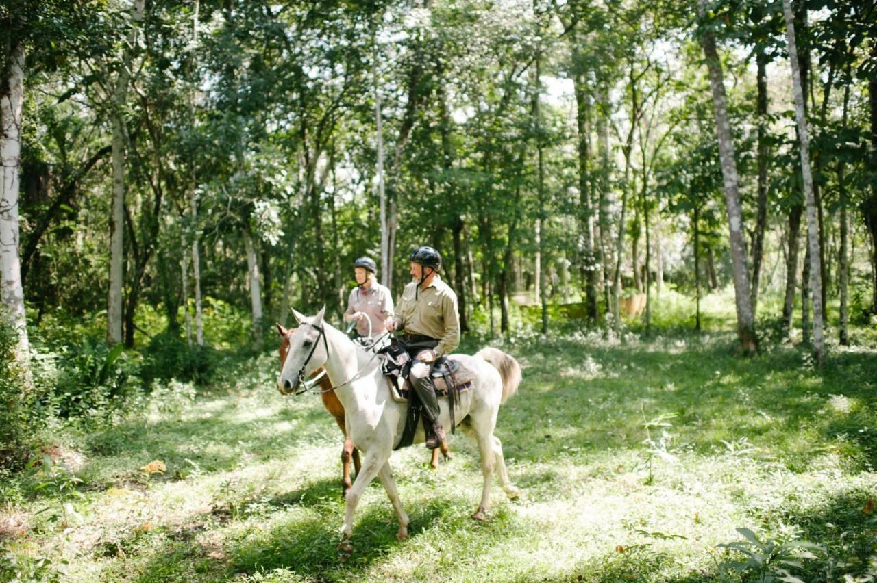 The At Chaacreek San Ignacio