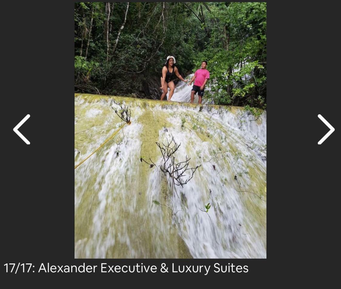 Chupaflor - Alexander Luxury & Executive *