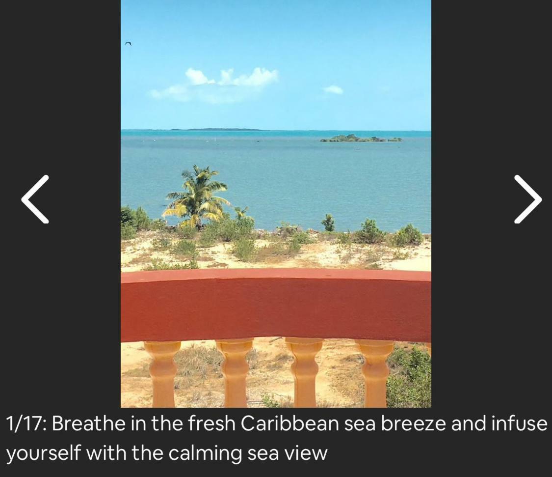 Chupaflor - Alexander Luxury & Executive Apartment Belize City