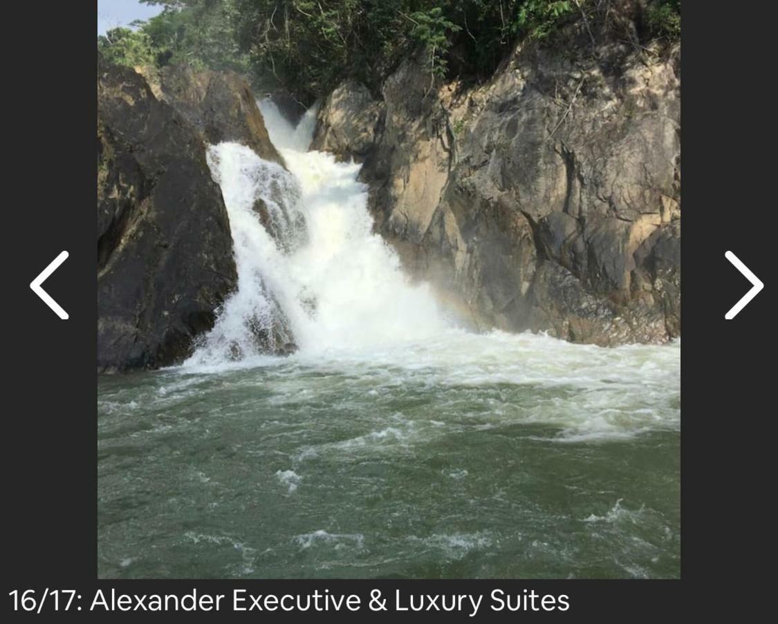 Chupaflor - Alexander Luxury & Executive Apartment *