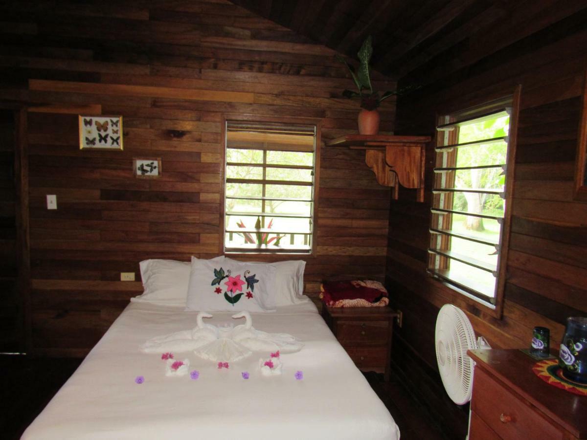 Lodge Macaw Bank Jungle