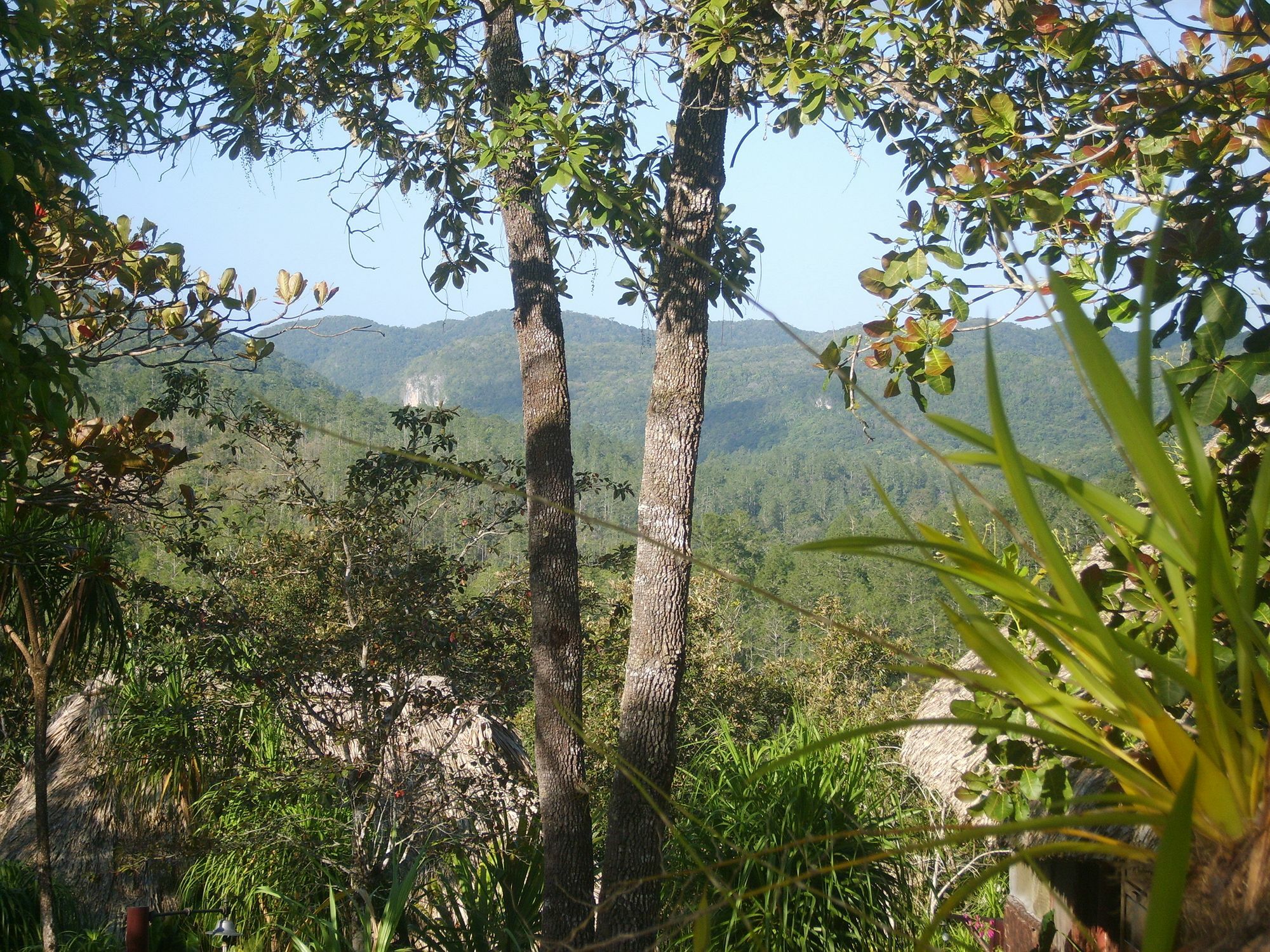 Gaia Riverlodge 3* Unitedville