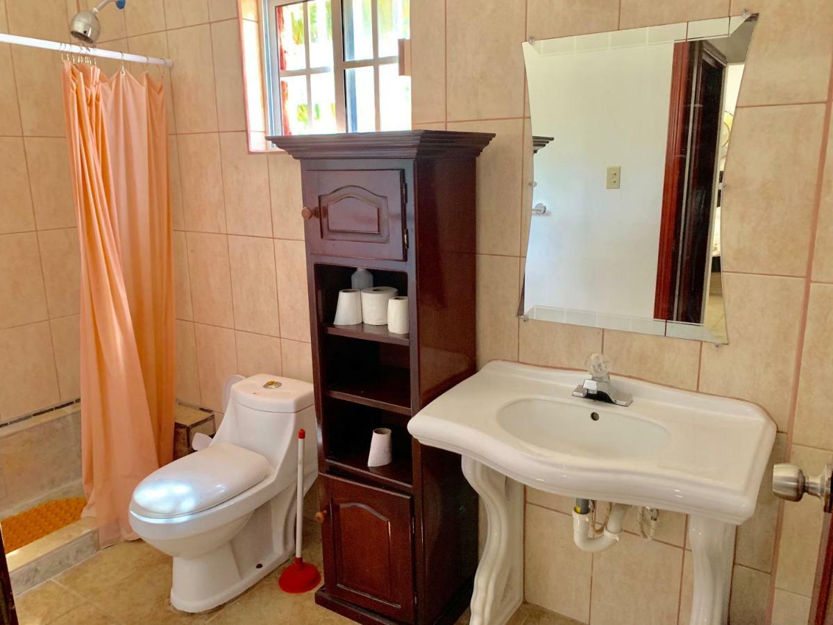 Chupaflor - Alexander Luxury & Executive Apartment Belize City