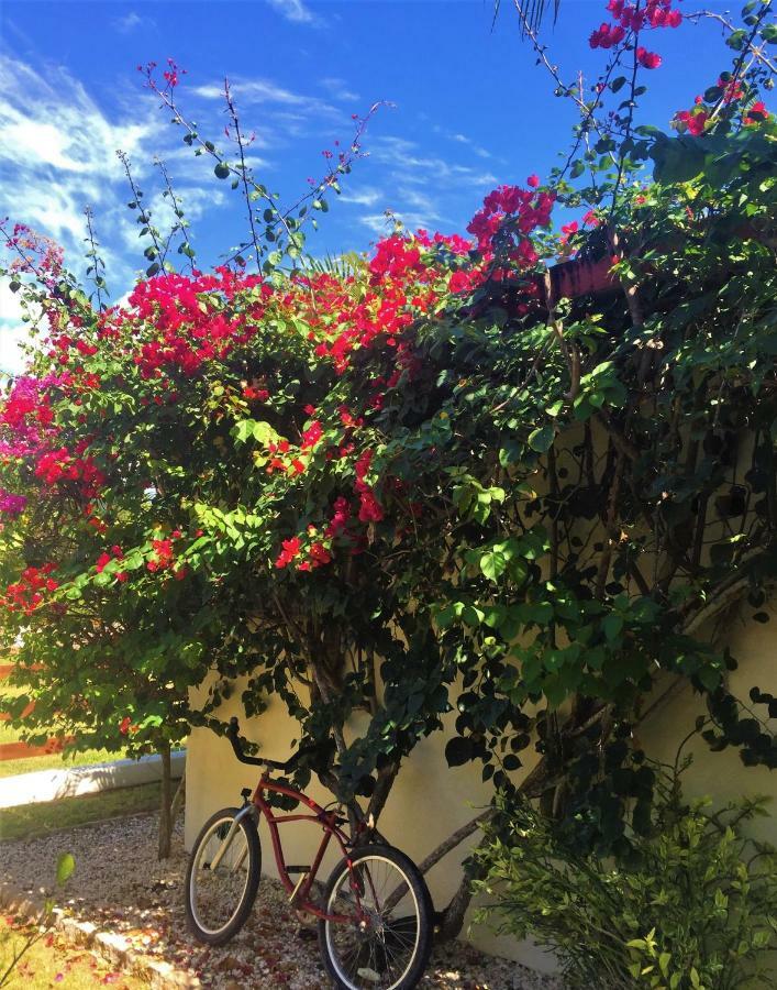 Royale Manor Corozal
