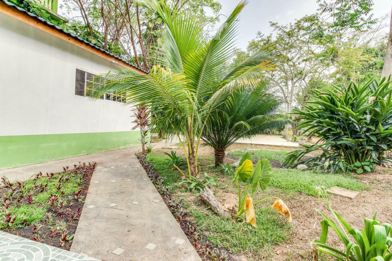 Midas Belize