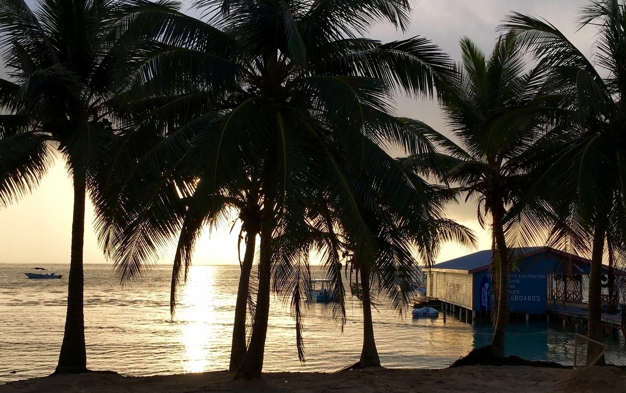The Palapa House