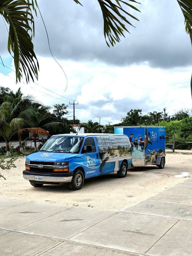 Belize Dive Haven & Marina Turneffe Atoll