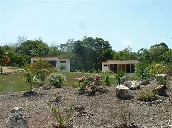 Resort Gumbo Limbo Jungle 3*