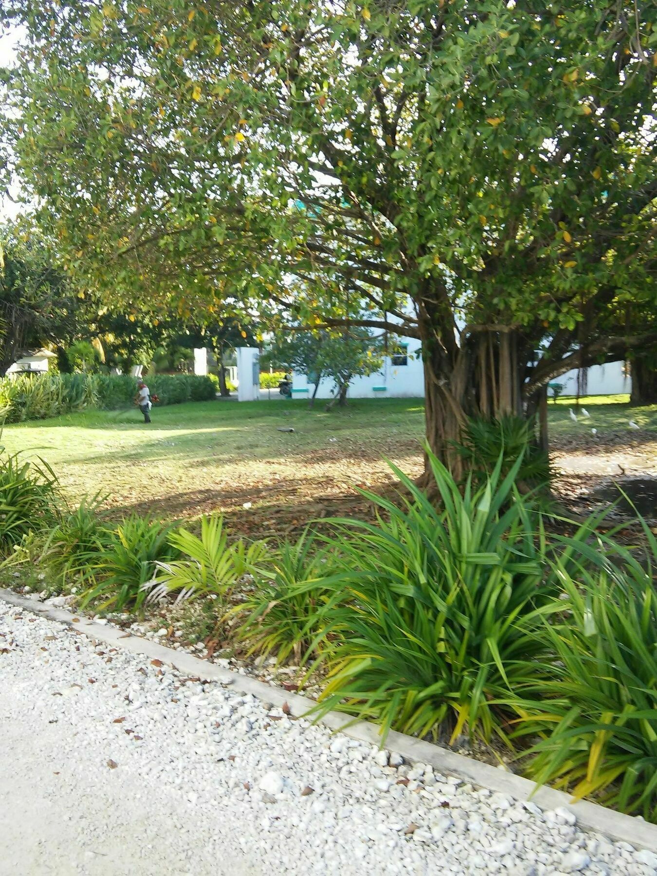 Aparthotel Western Grand Baymen Gardens