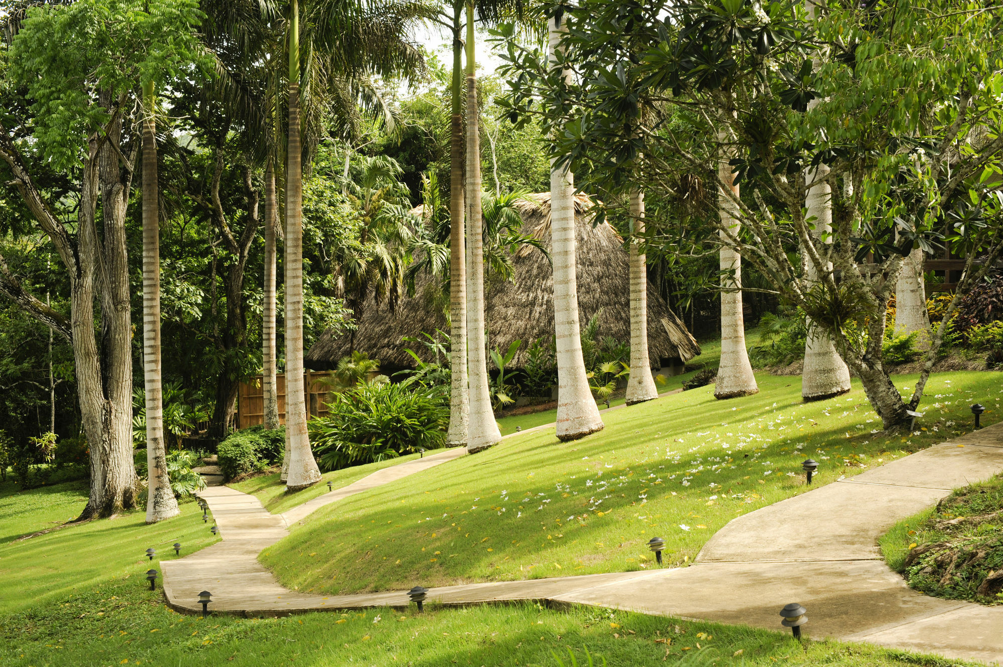 The At Chaacreek Resort 5*