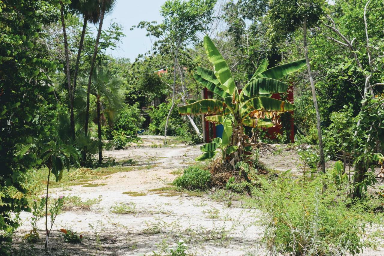 Bed & Breakfast Palmento Grove Garifuna Eco-cultural & Healing Institute Hopkins