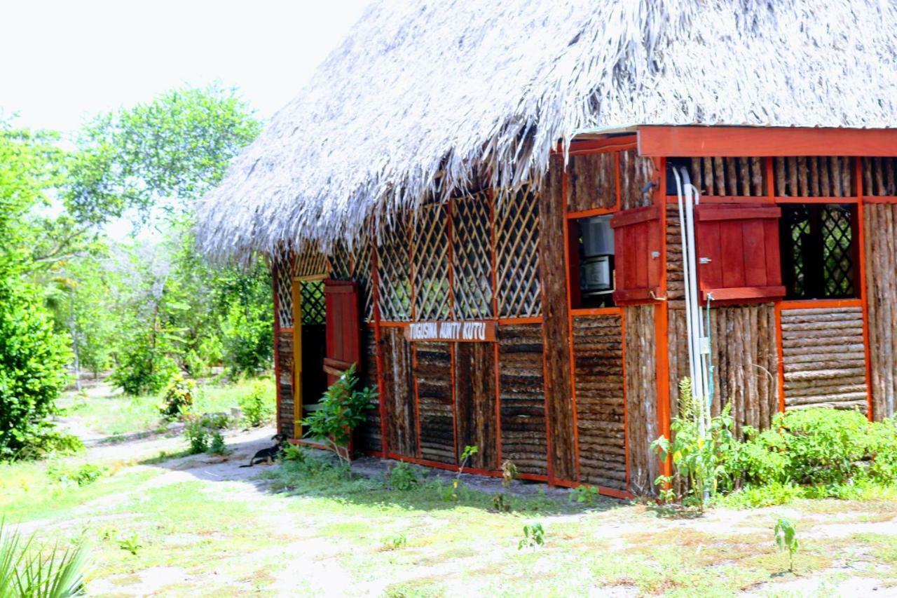 Bed & Breakfast Palmento Grove Garifuna Eco-cultural & Healing Institute Hopkins
