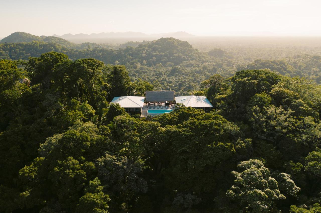 Lodge Copal Tree A Muy'ono *