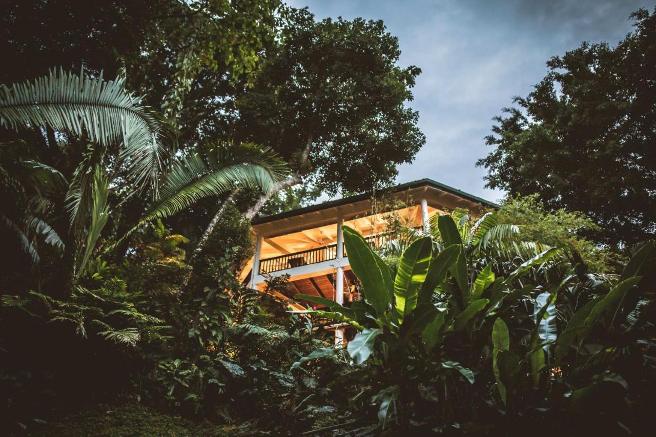 Lodge Copal Tree A Muy'ono Toledo District