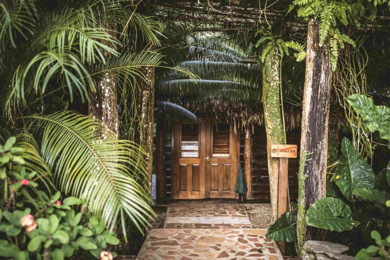 Lodge Copal Tree A Muy'ono *