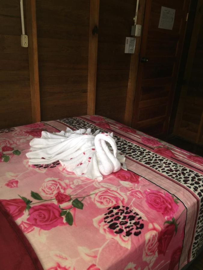Guest house Matus San Ignacio