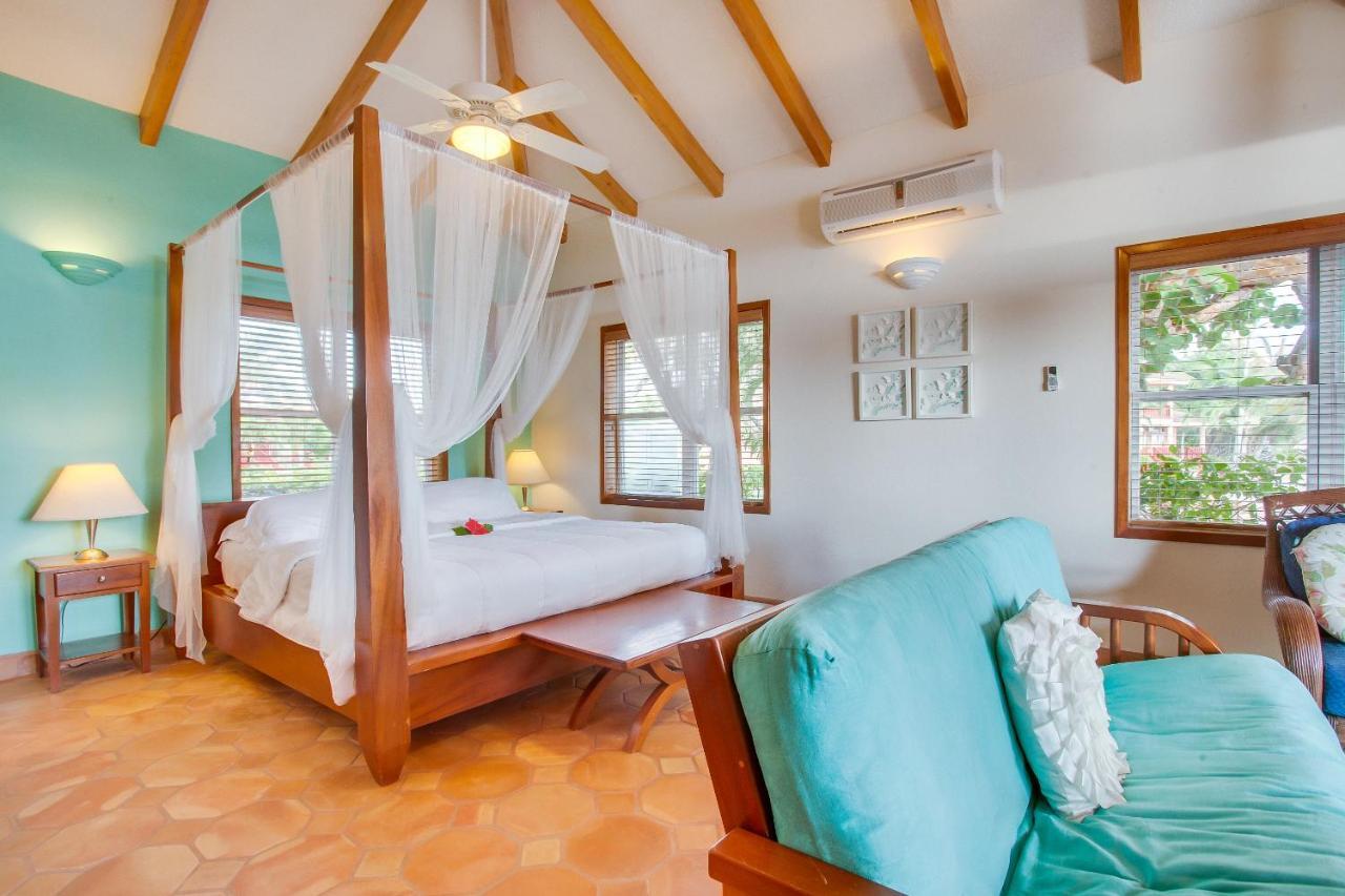 Belizean Dreams Hopkins