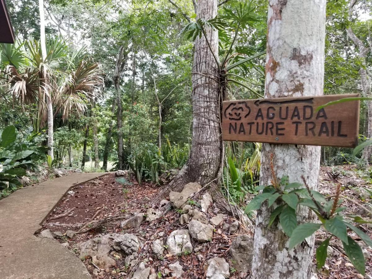Mariposa Jungle Aparthotel 3*