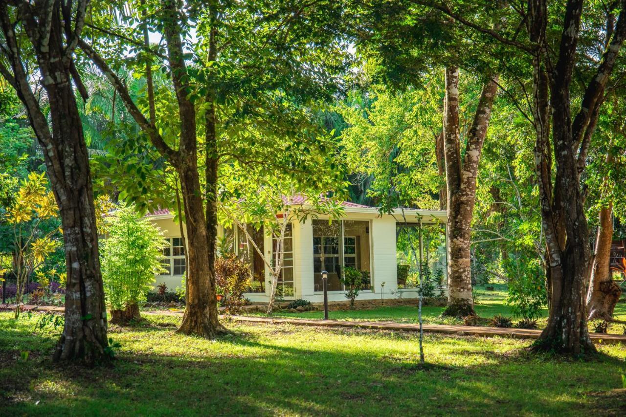Kikiwitz Hotel Belmopan