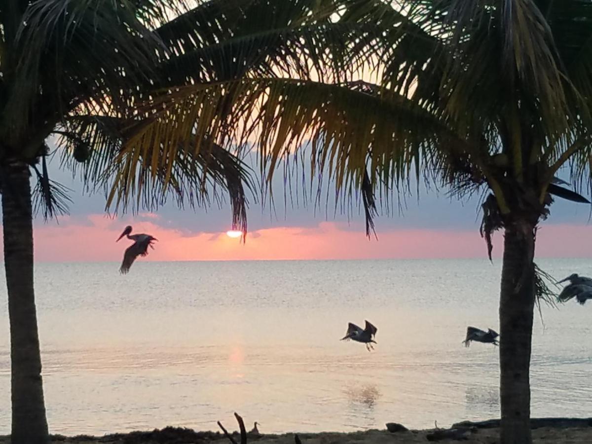 Pal's On The - Dangriga, Belize Hotel Dangriga