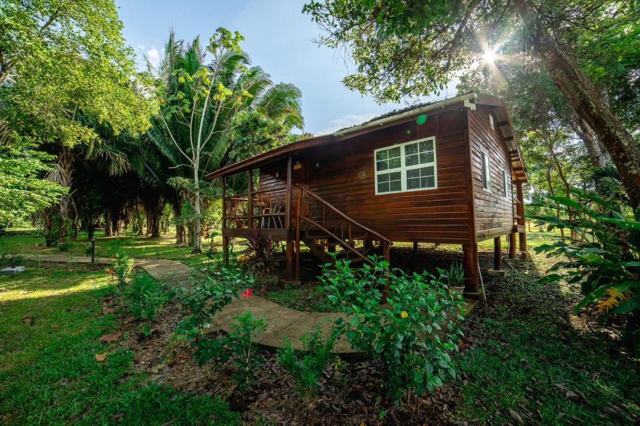 Kikiwitz 3* Belmopan
