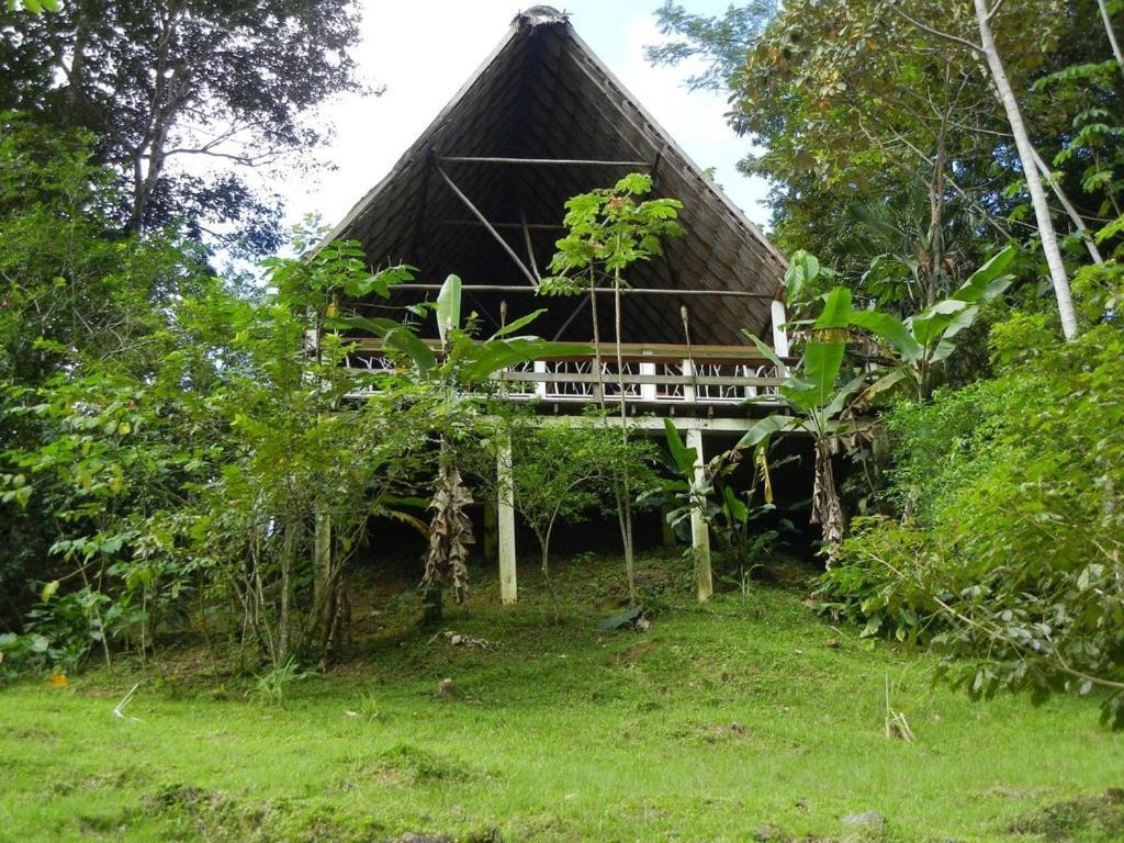 Hotel Black Rock 3*