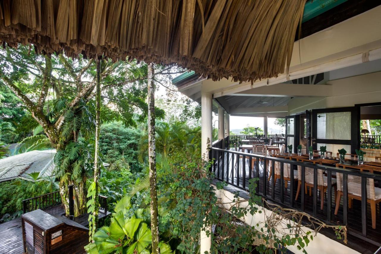 Lodge Copal Tree A Muy'ono Toledo District