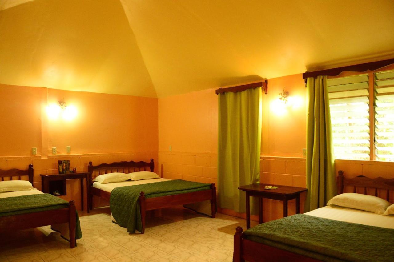 Howler Monkey Lodge Belize City