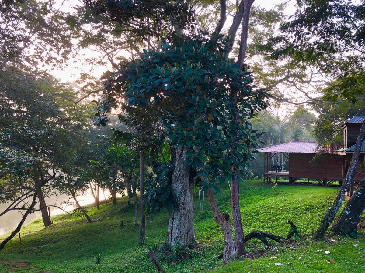 Howler Monkey Lodge *