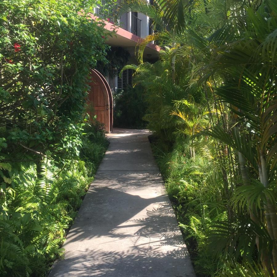 Almond Tree Hotel Corozal