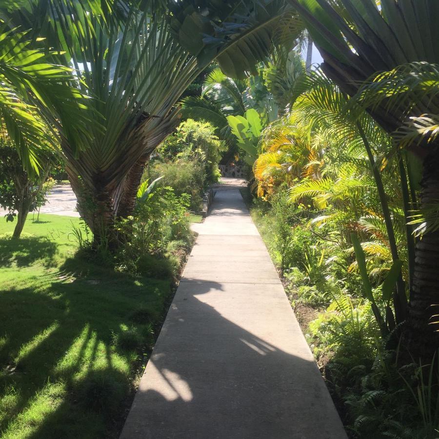Almond Tree Hotel Corozal