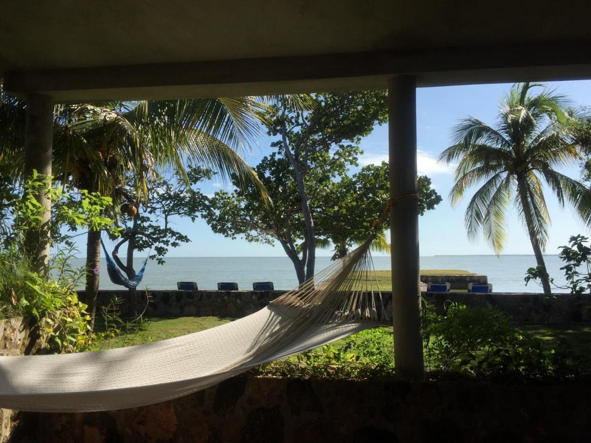 Hotel Almond Tree