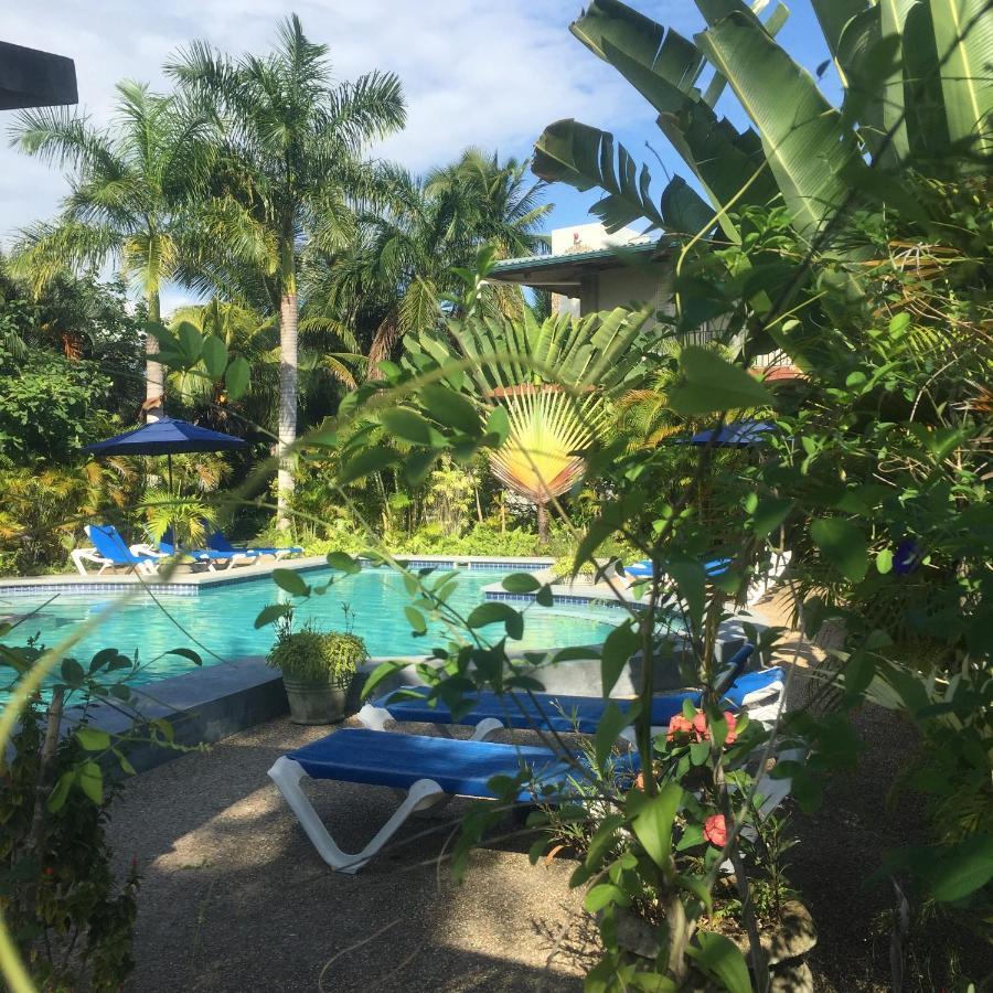 Almond Tree Hotel Corozal