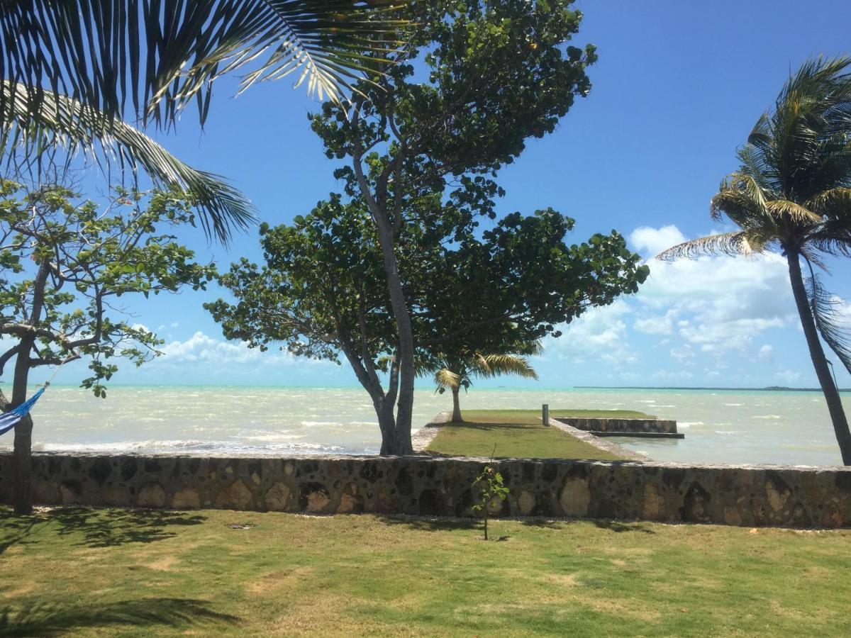 Almond Tree 5* Corozal