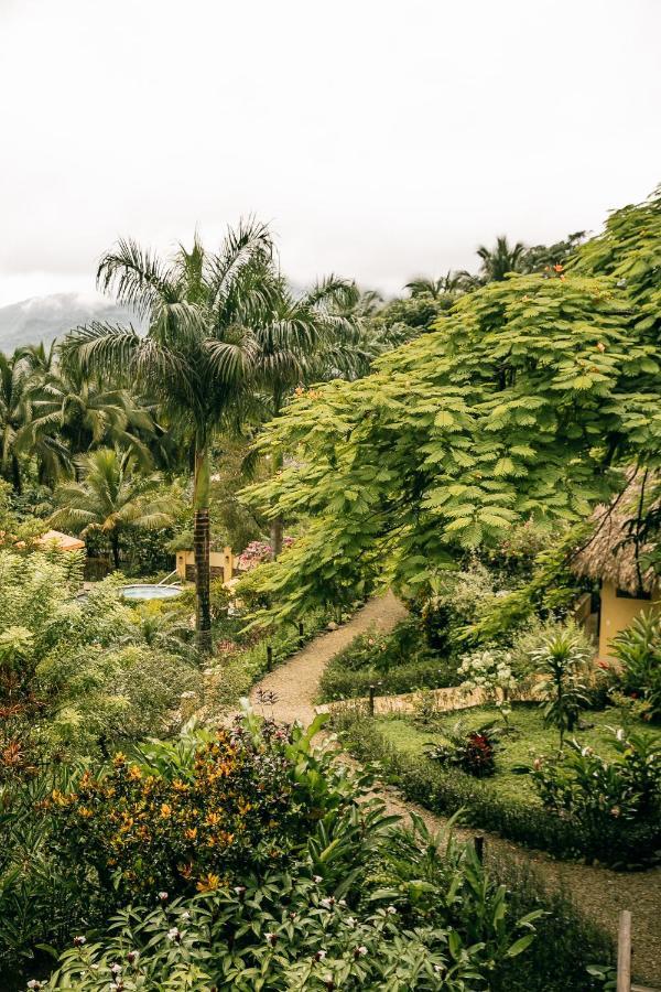 Sleeping Giant Rainforest