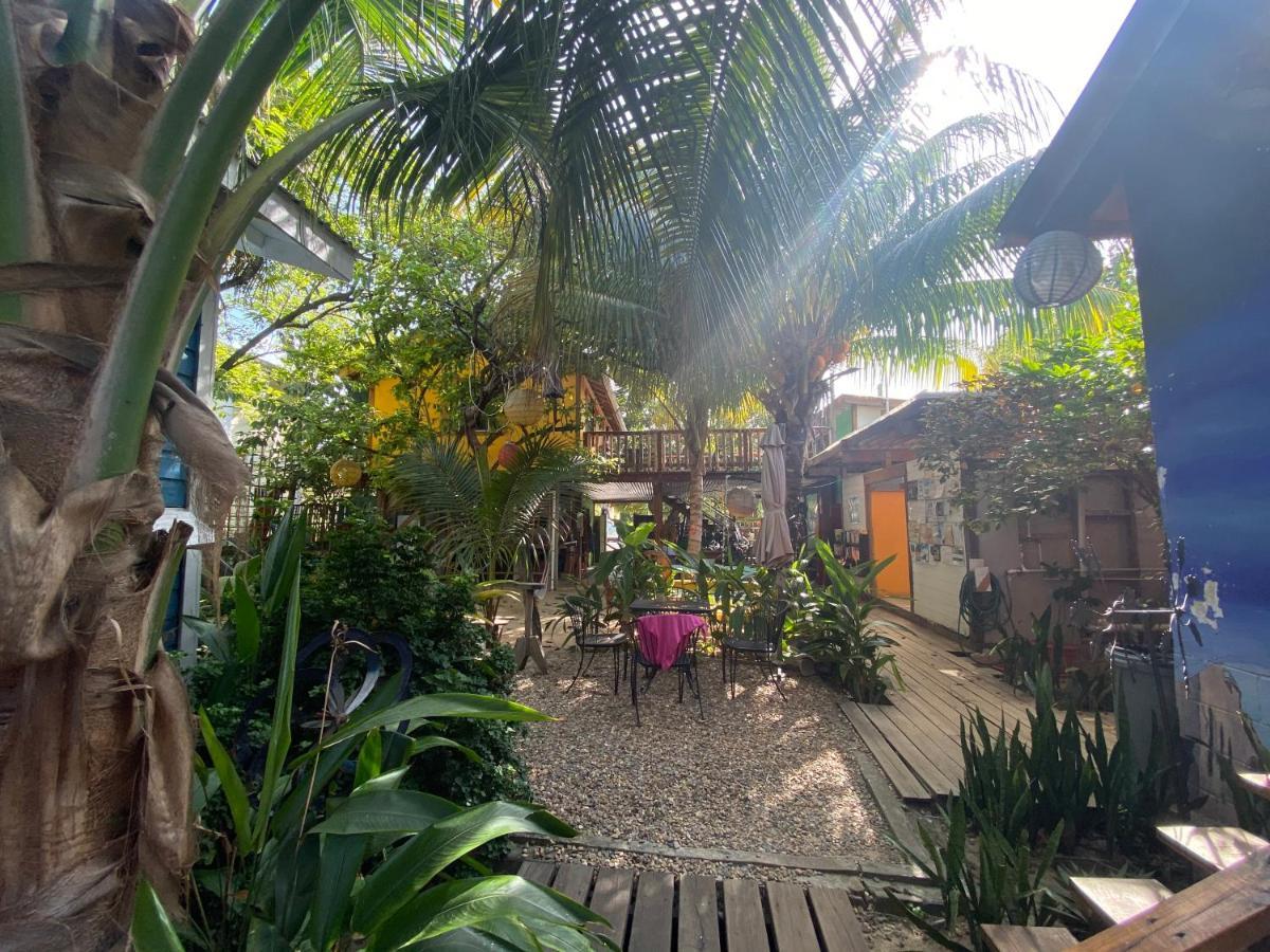 The Funky Dodo Backpackers Hostel *