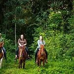 Tanager Rainforest Lodge