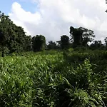 Jade Jungle Resort