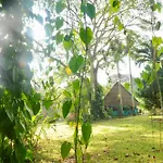 Bocawina Rainforest Resort