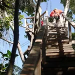 Green Parrot Beach Houses And Resort