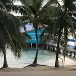 The Palapa House