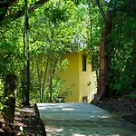 Amber Sunset Jungle Resort