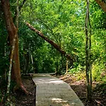 Amber Sunset Jungle Resort
