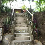 Cohune Palms River Cabanas