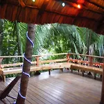 Cohune Palms River Cabanas
